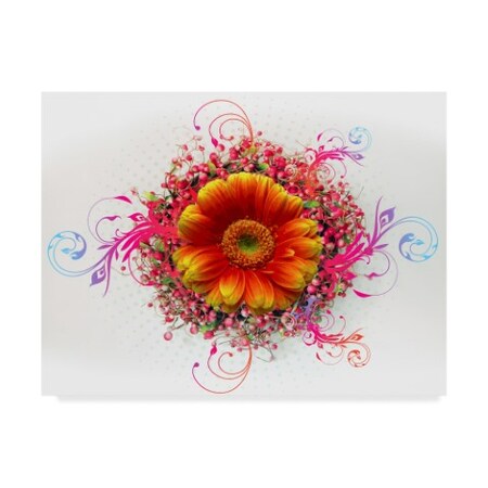 Ata Alishahi 'Flowers Design 2' Canvas Art,18x24